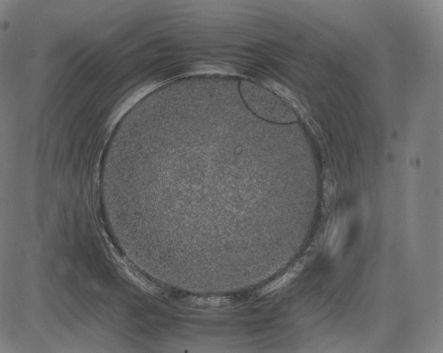 X0000085271129200703091345