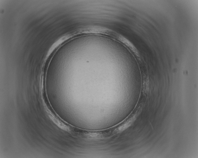 X0000085271130200703091345