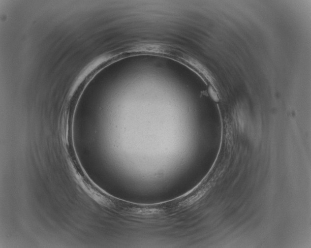 X0000085271131200703091345