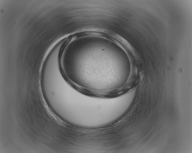 X0000085271132200703091345