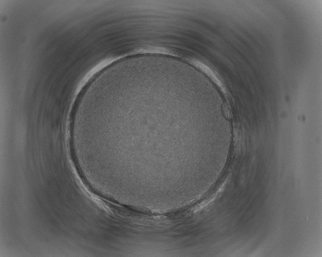 X0000085271133200703091345