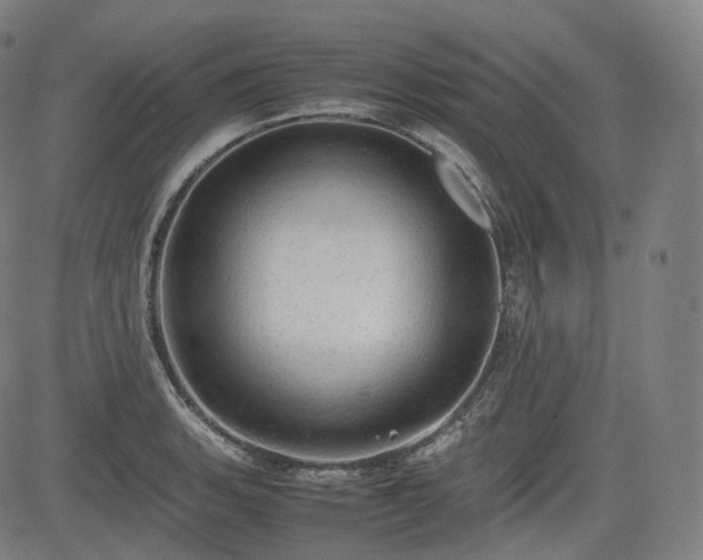 X0000085271135200703091345