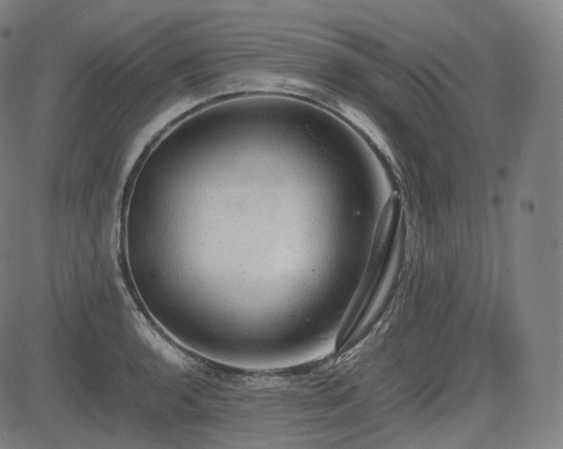 X0000085271136200703091345