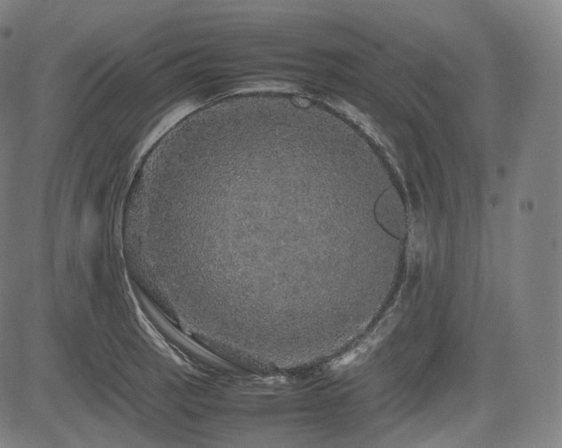 X0000085271137200703091345