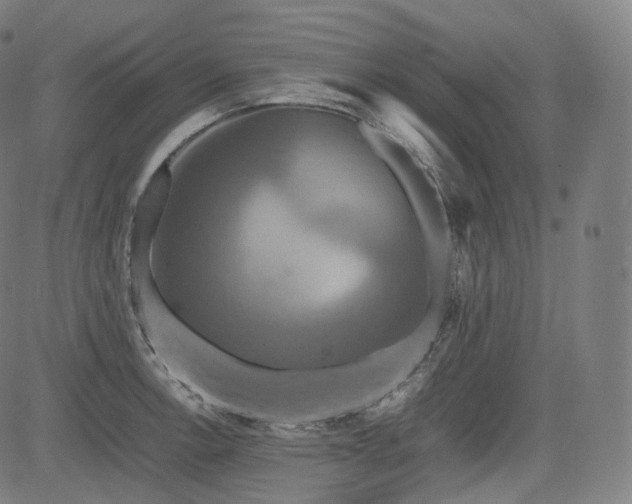 X0000085271138200703091345