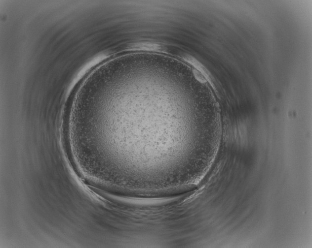 X0000085271139200703091345