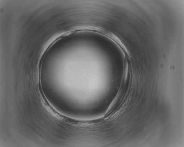 X0000085271140200703091345