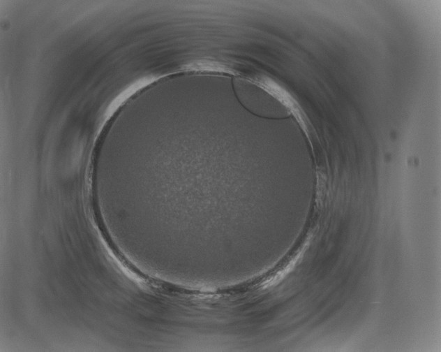 X0000085271141200703091345