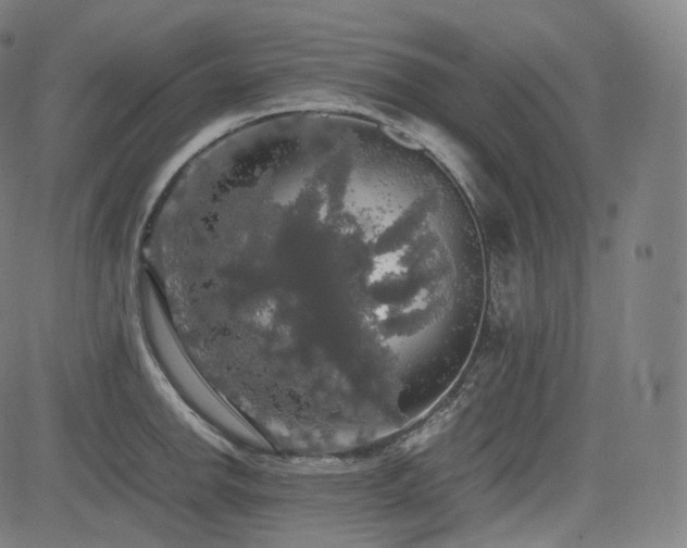 X0000085271142200703091345