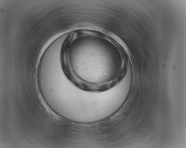 X0000085271144200703091345