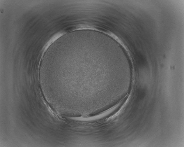 X0000085271145200703091345