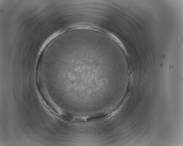 X0000085271146200703091345