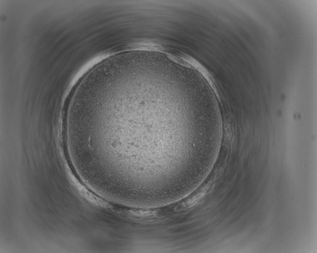 X0000085271147200703091345