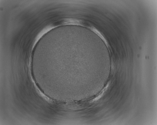 X0000085271149200703091345