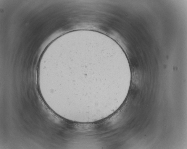 X0000085271150200703091345