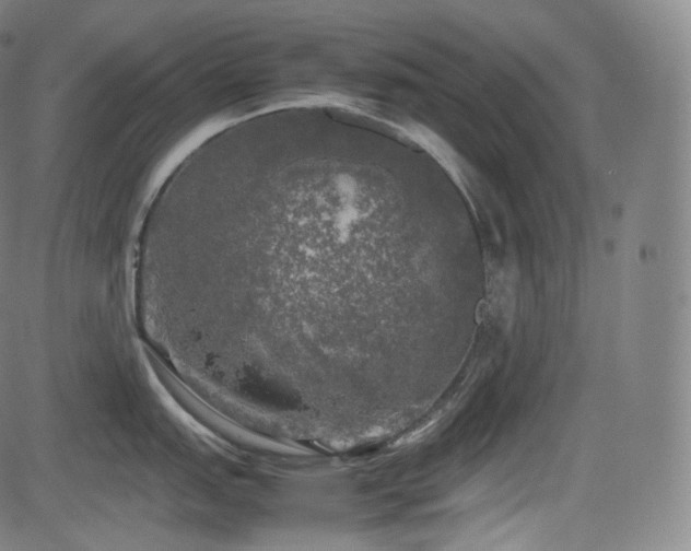 X0000085271151200703091345