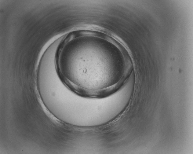 X0000085271152200703091345