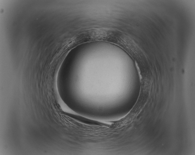 X0000085271153200703091345