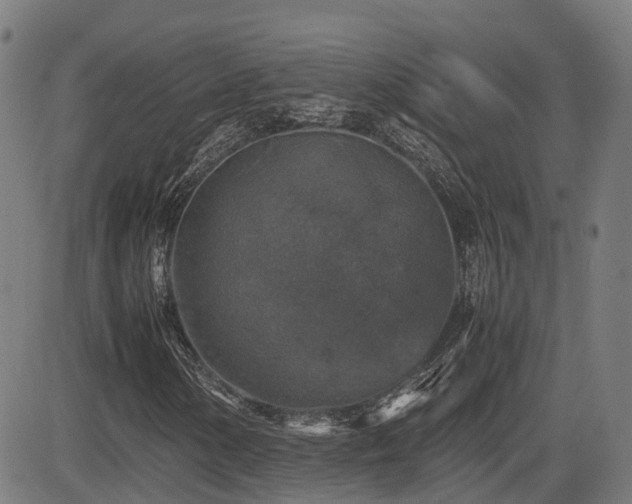 X0000085271154200703091345