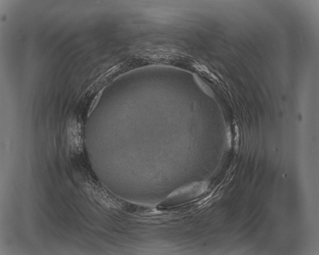 X0000085271156200703091344