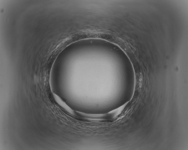 X0000085271157200703091344