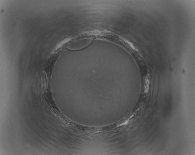 X0000085271158200703091344