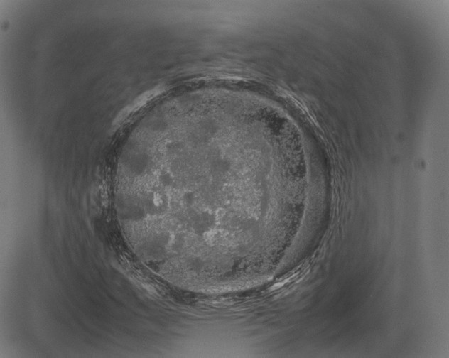 X0000085271159200703091344