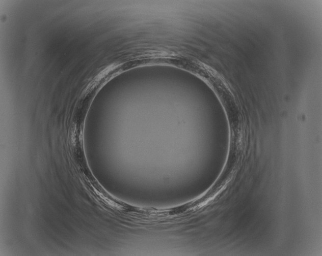 X0000085271161200703091344