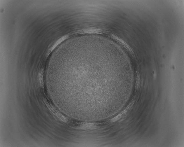 X0000085271162200703091344