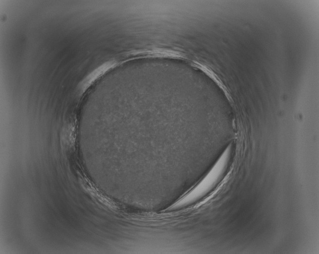 X0000085271163200703091344