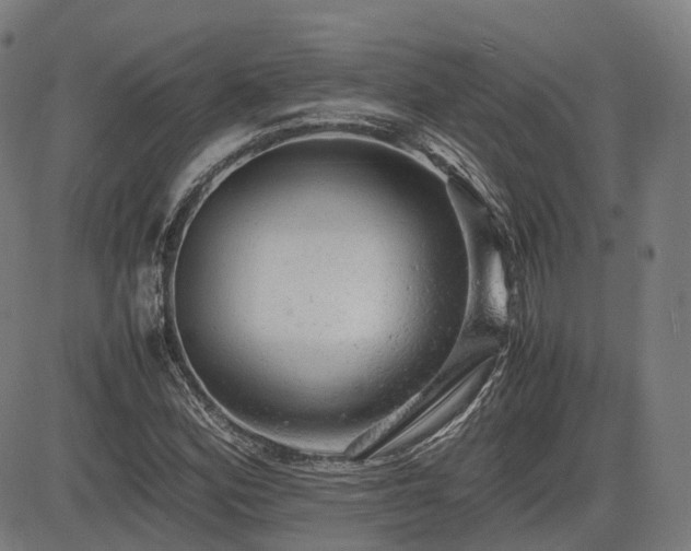 X0000085271164200703091344