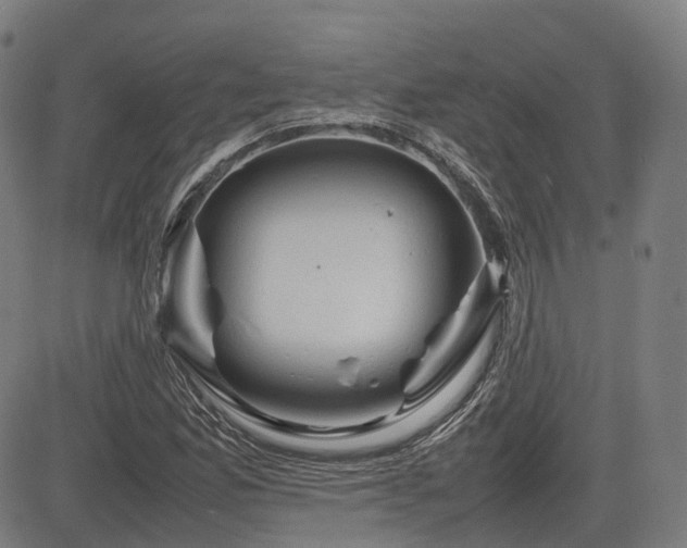 X0000085271165200703091344