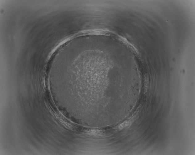 X0000085271166200703091344