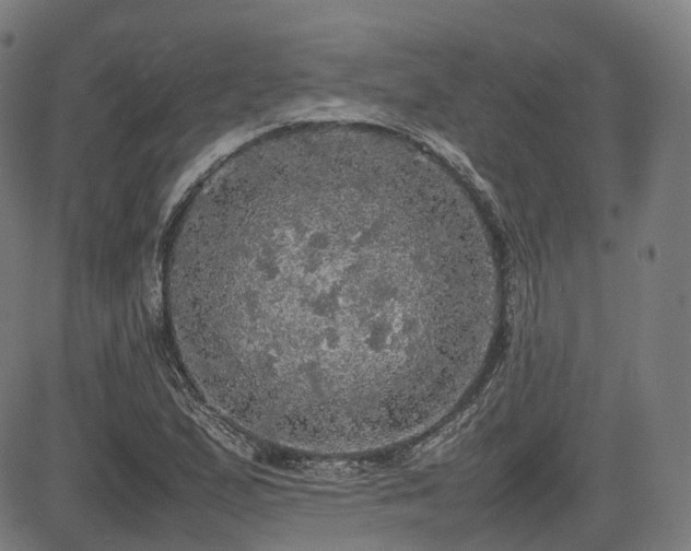 X0000085271167200703091344