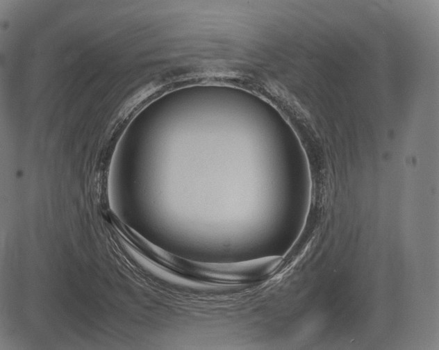 X0000085271169200703091344