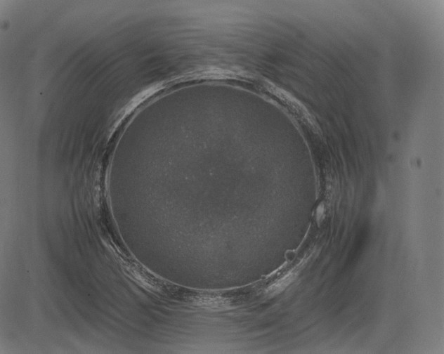 X0000085271170200703091344