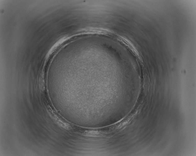 X0000085271172200703091344