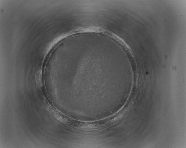 X0000085271174200703091344