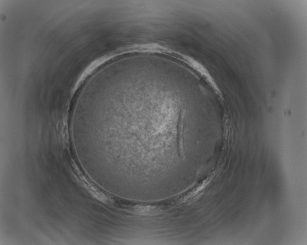 X0000085271176200703091344