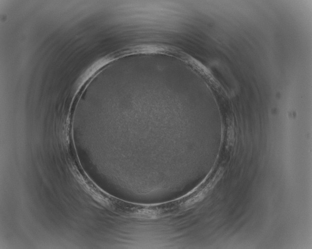 X0000085271178200703091344