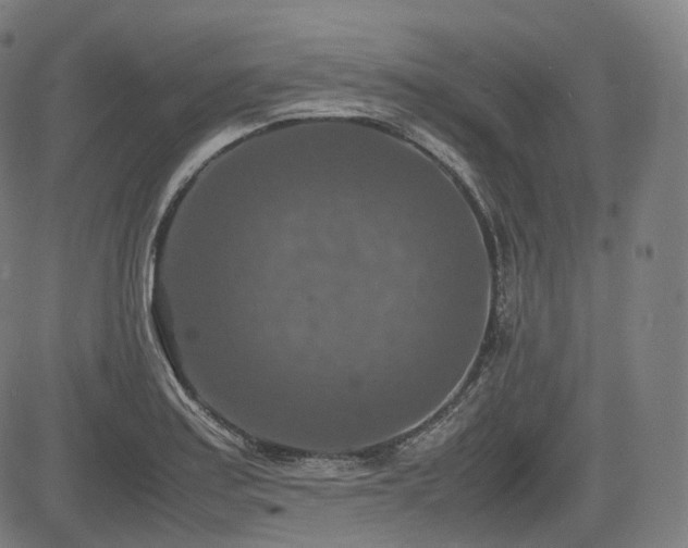 X0000085271179200703091344