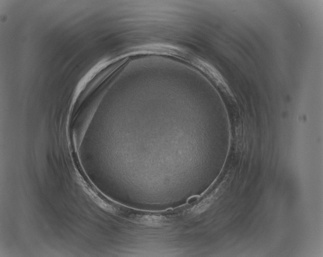 X0000085271180200703091344