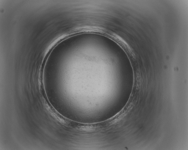 X0000085271182200703091344