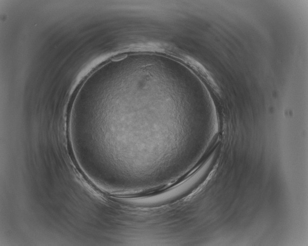 X0000085271184200703091344