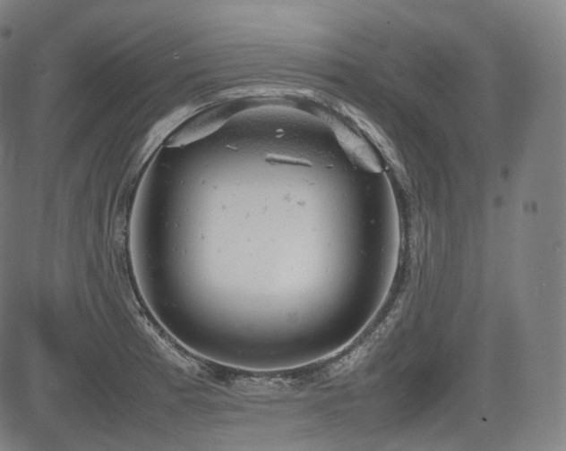 X0000085271185200703091344