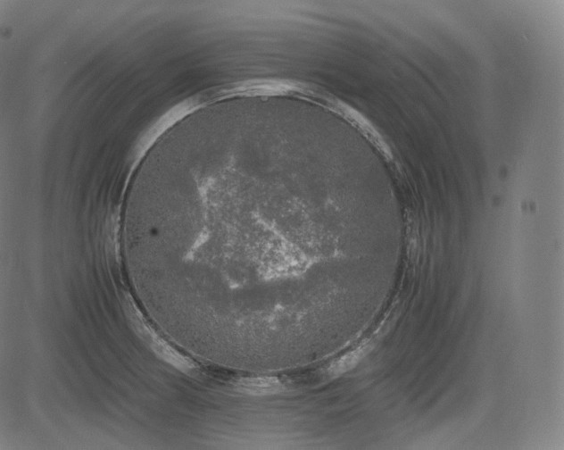 X0000085271186200703091344