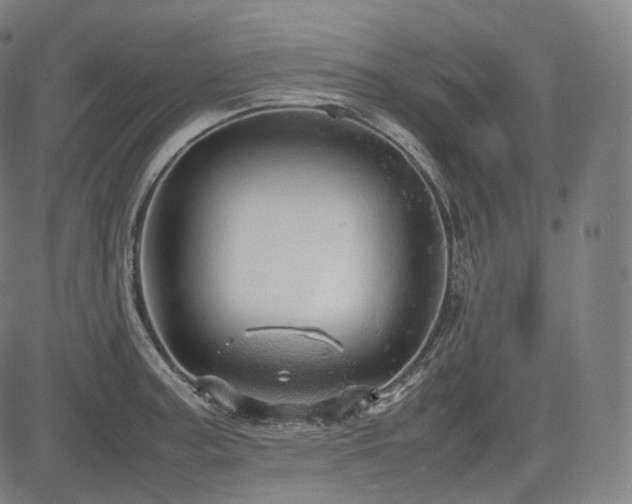 X0000085271187200703091344