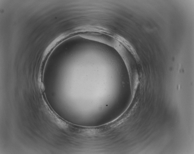 X0000085271188200703091344