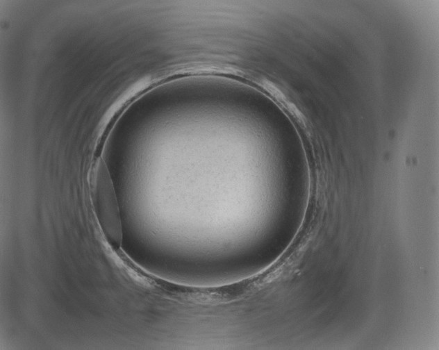 X0000085271189200703091344