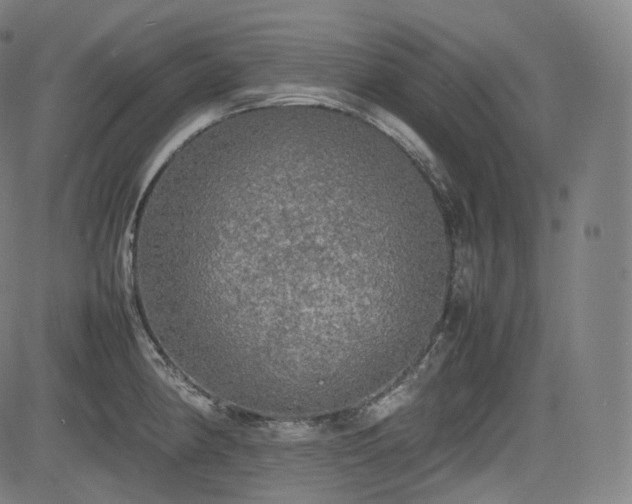 X0000085271190200703091344